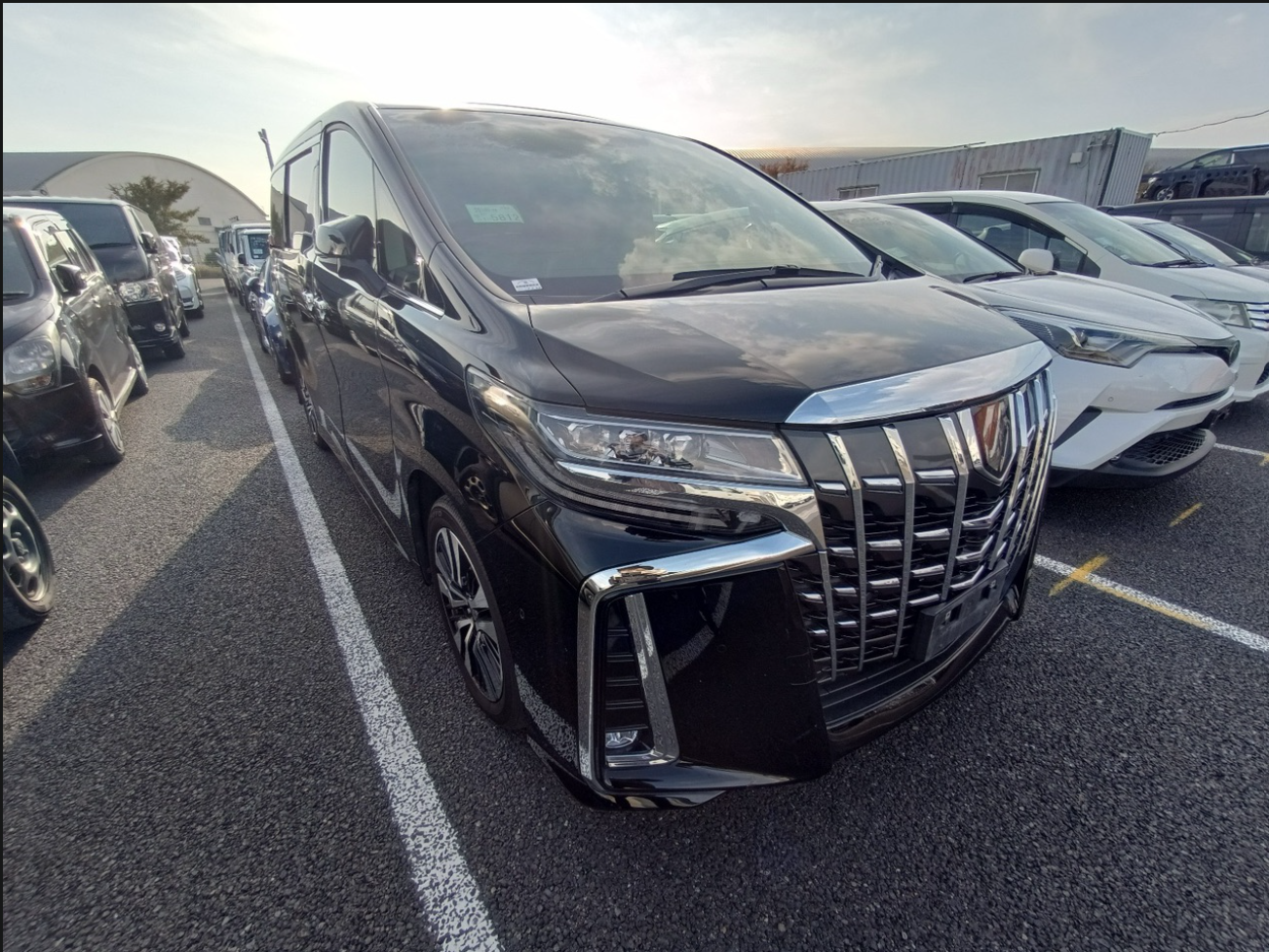 TOYOTA ALPHARD SC 2023